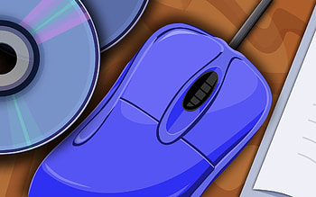 Vector, Bear, Notepad, Notebook, Disk HD wallpaper