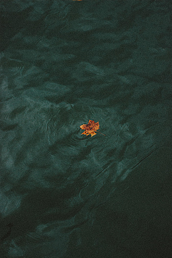 Water, Waves, Minimalism, Leaflet HD phone wallpaper