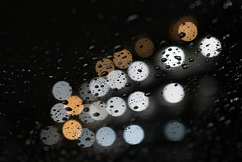 Drops, Macro, Glare, Wet, Bokeh, Boquet HD wallpaper