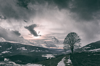 Nature, Mountains, Clouds, Wood, Tree, Fog HD wallpaper