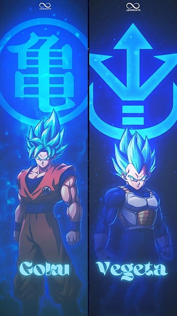 Goku Vegeta, dragon ball, anime HD phone wallpaper