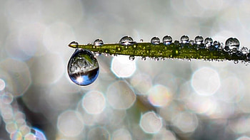 Green Leaf Water Macro Drops Blur Bokeh Background graphy HD wallpaper