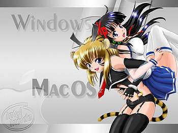 windows vs mac, cat ears, windows, mac, cat girl, girl, anime girl, cat tail, anime, xp, women, female HD wallpaper