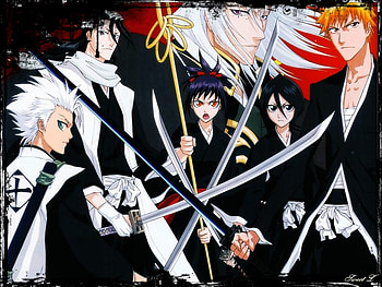 bleach the fellow ship of the sword, ichigo, rukia, hitsugaya, kuchiki HD wallpaper