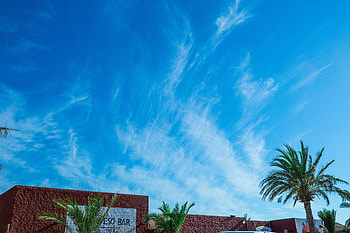 Nature, Sky, Summer, Palm HD wallpaper