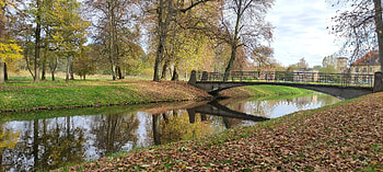 Autumn Serenity: River Park Landscape graphy, river, park, graphy, fall HD wallpaper