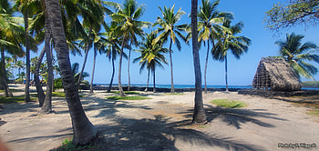 Pu'uhonua o Honaunau (Place of Refuge), Hawaii, Sand, Islands, Puuhonua, Trees, Palm, Refuge, Sky, Tropical HD wallpaper