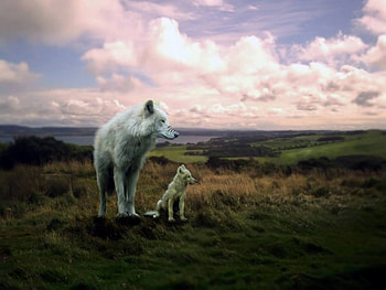 Mother and Child, Mother, Wolves, painting, clouds, Wolf, sky, nature, Child HD wallpaper