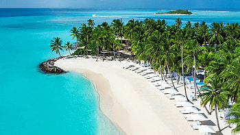 White Sand at the Maldives, sea, island, tropical, resort, palm trees HD wallpaper