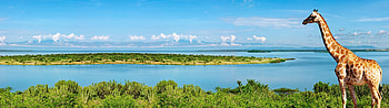 Exploring Africa, Panoramic , Dual screen display, Windows 10 HD wallpaper