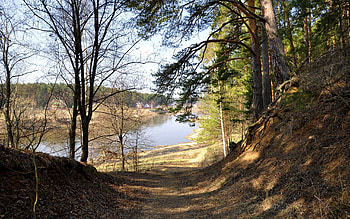 Nature, Rivers, Trees, Grass, Forest, Path HD wallpaper