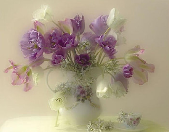 Anemone and Tulips, white, anemones, floral, tulips, femanine, jug, still life, pretty, lilac HD wallpaper