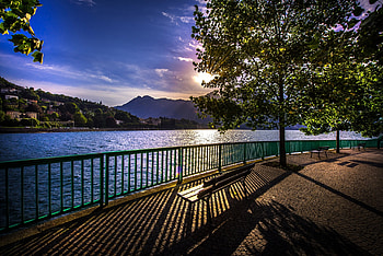 River Sunrise, Nature, Sunrise, River, Tree HD wallpaper