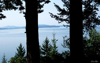 Chuckanut Drive Twins, blue, washington, bay, trees, , water, ocean HD wallpaper