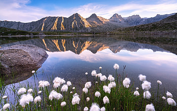 Lake, flowers, mountains, calm HD wallpaper