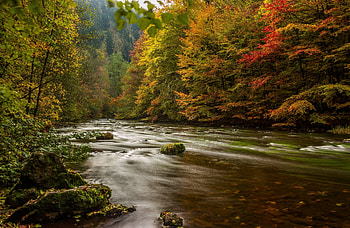 Germany, Nature, Rivers, Trees, Autumn, Harz HD wallpaper