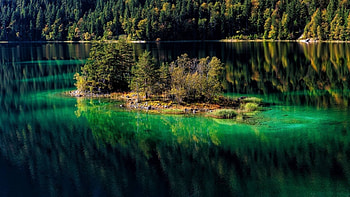 island in a lake, fun, cool, nature, forest, lake HD wallpaper