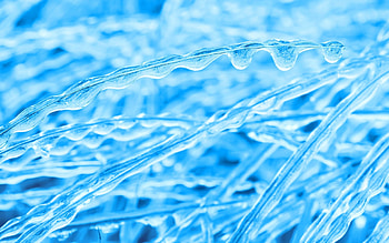 Frozen, winter, blue, gheata, iarna, grass, albastru, ice HD wallpaper
