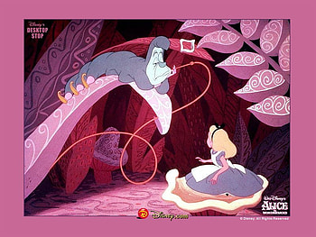 Alice , pink alice, cartoon, alice in wonderland, alice HD wallpaper