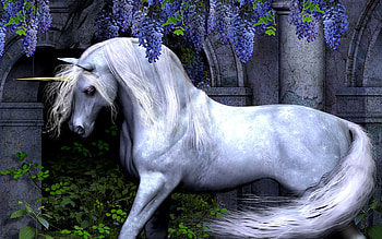 fantasy unicorn s unicorn . HD wallpaper