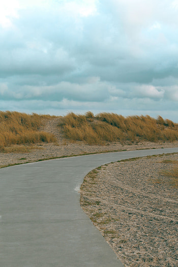 Nature, Grass, Road, Turn, Hill, Roadside, Shoulder HD phone wallpaper