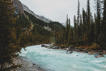 Nature, Rivers, Trees, Stones, Mountains, Forest, Slope HD wallpaper