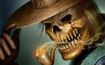 Funny Skeleton Best of Skeleton | | Pinterest | Skeletons, and HD wallpaper