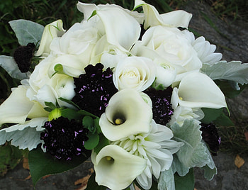 Flowers, Roses, Bouquet, Calla, Composition, Callas, Snow White HD wallpaper