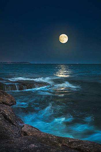 Moon over ocean, atmosphere, sky HD phone wallpaper