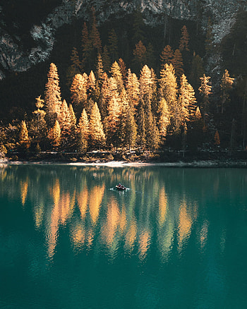 Landscape, Nature, Trees, Autumn, Lake, Boat HD phone wallpaper