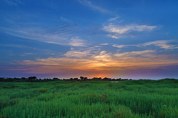 Nature, Sunset, Grass, Sky, Clouds, Horizon, Field, Soleros HD wallpaper