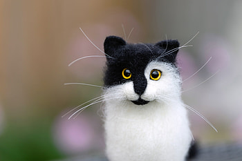 Plush Cat Charm: Adorable Two-Tone Stuffed Animal, stuffed animal, Animal, cat HD wallpaper