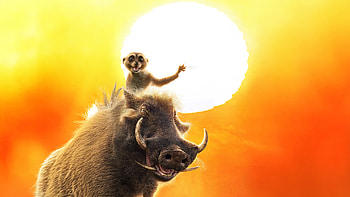 Timon X Pumbaa In Mufasa The Lion King, mufasa-the-lion-king, movies, 2024-movies, animated-movies, disney, the-lion-king, timon, pumbaa, timon-and-pumbaa HD wallpaper