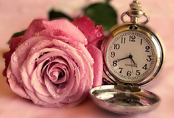 time is running out, pink, beautiful, time, flower HD wallpaper