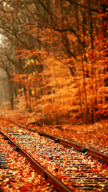 Unique, Railway, Track HD phone wallpaper