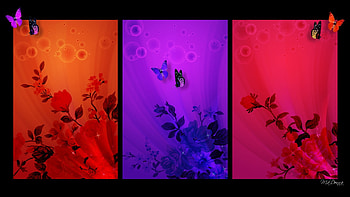 Flower Color Blocks, butterflies, colorful, windows, bright, flowers, Firefox Persona theme, blocks HD wallpaper