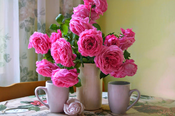 Pink Roses, Flowers, Roses, Cup, Vase HD wallpaper