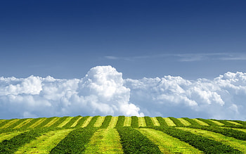 Towards White Cloud, white, towards HD wallpaper