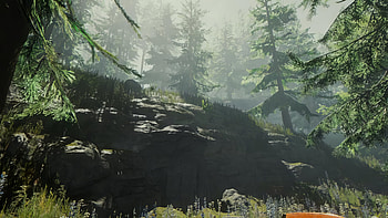 Sons of the Forest Game - Mystical Woodland Scene, video game, Sons of the Forest HD wallpaper