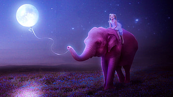 :), blue, night, art, marialucia, copil, pink, fantasy, moon, elephant, luna, balloon, maria lucia, water, child HD wallpaper
