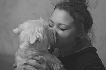 HEY YOU!, dog, graphy, love, bw, cute, friends HD wallpaper