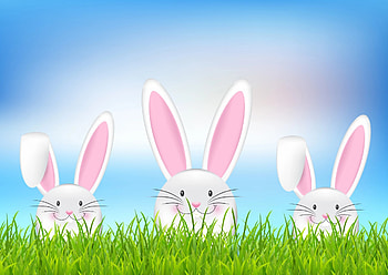 Happy Easter!, card, easter, green, bunny, pink, rabbit HD wallpaper