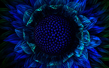 Hq screensavers Hq screensavers Hq . HD wallpaper