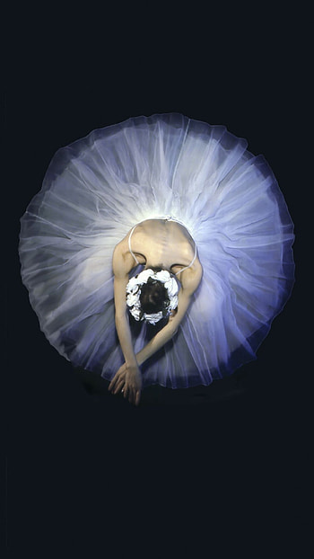 Ballet beauty, Artful , Dance-inspired art, Graceful poses HD phone wallpaper