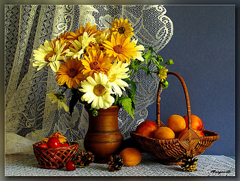 Still life, colorful, bouquet, peach, cozy, spring, daisies, nice, basket, delicate, yummy, room, cherries, vase, apricot, beautiful, fruits, fresh, arrangement, curtain, summer, tender, pretty, freshness, flowers, lovely HD wallpaper