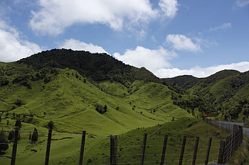 Nature, Grass, Mountains, New Zealand, Hill HD wallpaper