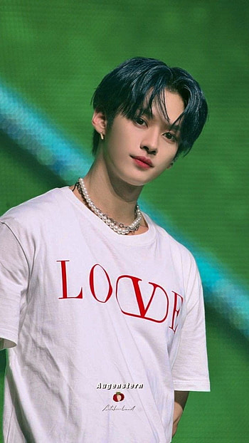 STRAY KIDS, skz, minho, leeknow HD phone wallpaper