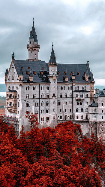 Neuschwanstein, Castles HD phone wallpaper