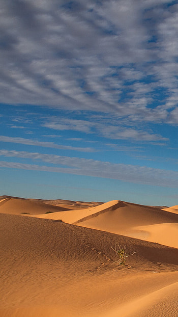 Mauritania, Late afternoon landscape, Sahara desert dunes, Windows 10 spotlight HD phone wallpaper