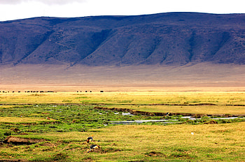 High-quality Ngorongoro Crater , Full HD wallpaper